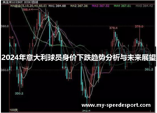 2024年意大利球员身价下跌趋势分析与未来展望
