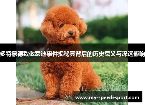多特蒙德致敬泰迪事件揭秘其背后的历史意义与深远影响