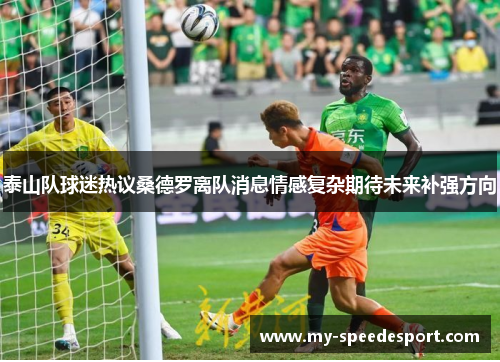 泰山队球迷热议桑德罗离队消息情感复杂期待未来补强方向